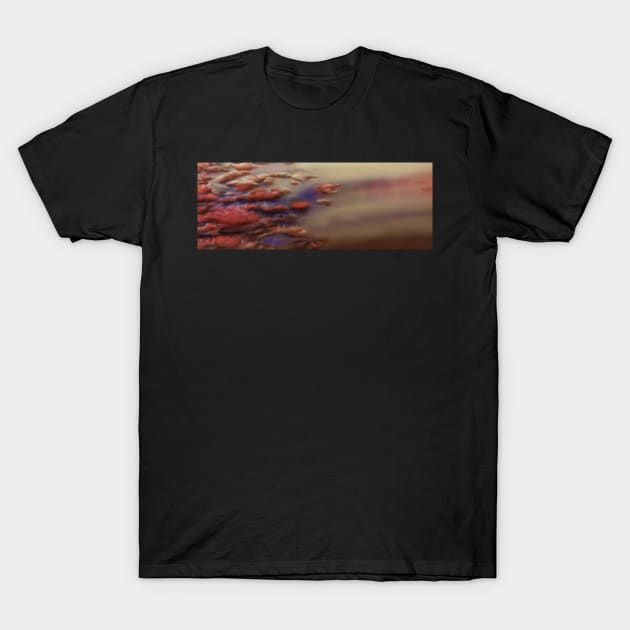 Fire Stone T-Shirt by wyckedguitarist